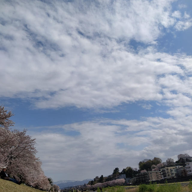珍しいお誘い&新学期スタート