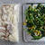 【朝がラクになる弁当の作り置き冷凍】ほうれん草副菜と冷凍きのこ