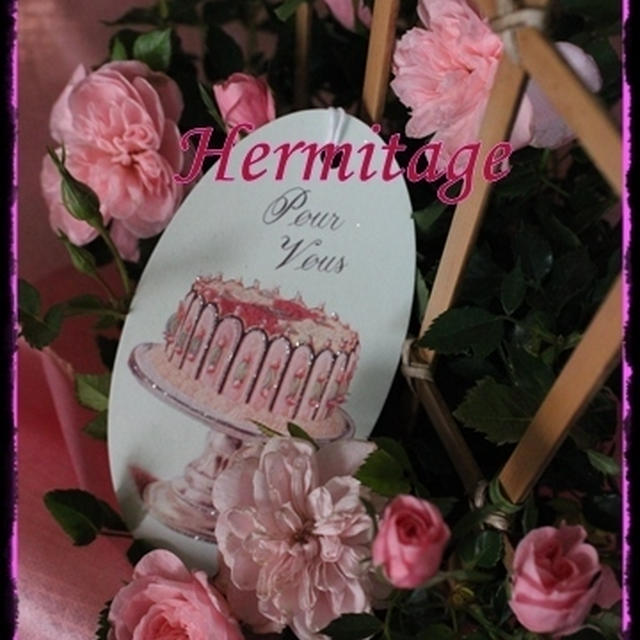 hisachanにいただいた鉢薔薇を地植えに・・・♥