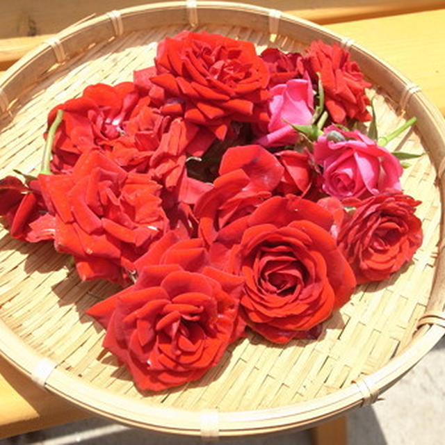 バラ栽培☆花がら摘みと薔薇ジャム 