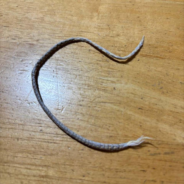 ついにキレてしまった。