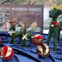 新潟県立植物園クリスマス展①