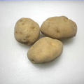 じゃがいも焼いただけ - 92円 35分