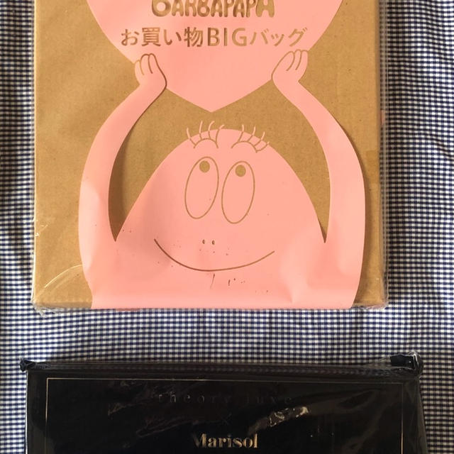 神保町ブックフェスティバル　雑誌の付録300円均一で買ったもの