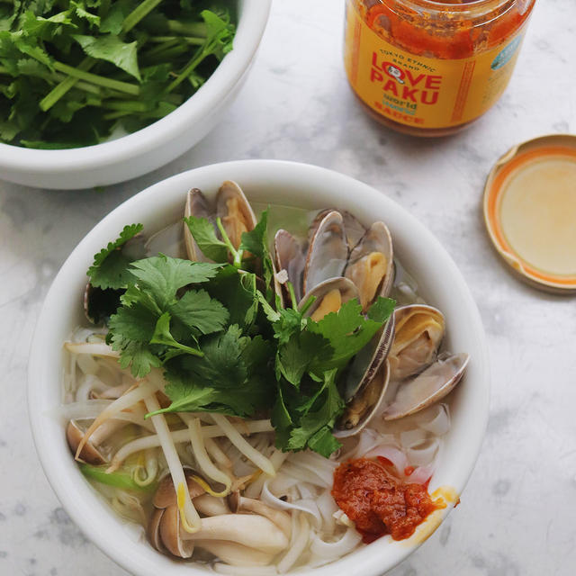 Pho Noodle Soup