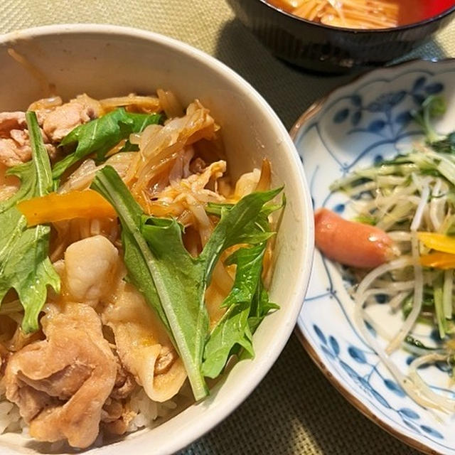 実は甘ったれでした＆白菜と豚肉のどんぶり