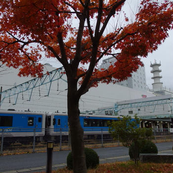 晩秋蔵王、染められて。～白き夢見し酔いもする 3日目 ④～