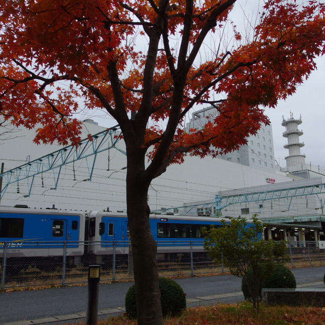 晩秋蔵王、染められて。～白き夢見し酔いもする 3日目 ④～