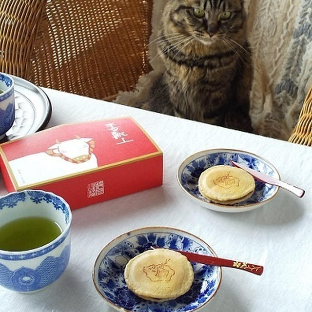 猫とおやつ。和菓子でほっと♪