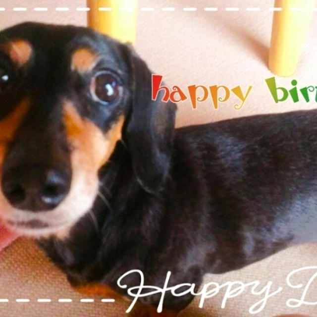 ＊happy birthday＊