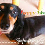 ＊happy birthday＊