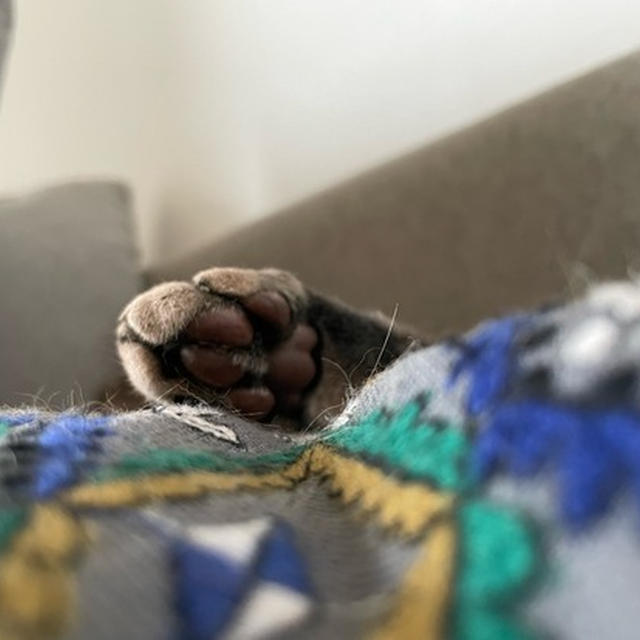 あそこに足が出てる　誰だ⁇