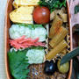 「整理整頓弁当」と名付けられた～夫のお弁当３５