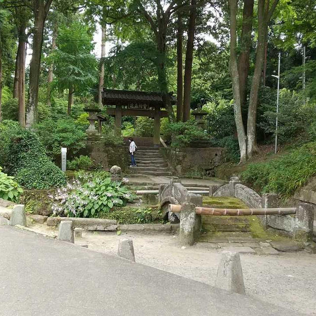源氏山へ行かれるはずが・・・。
