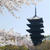 東寺と桜とスーパードライの飛行船