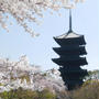 東寺と桜とスーパードライの飛行船