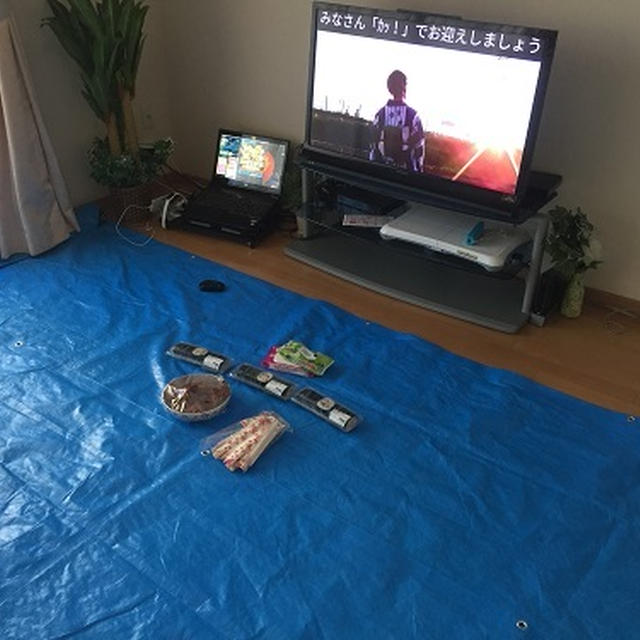 お部屋でブルーシート