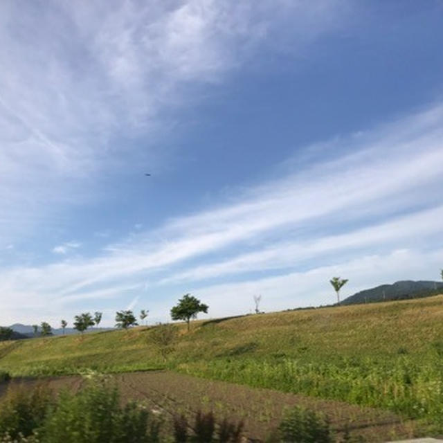 真っ青な空と飯山のスイーツ