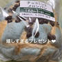 チョコミン党