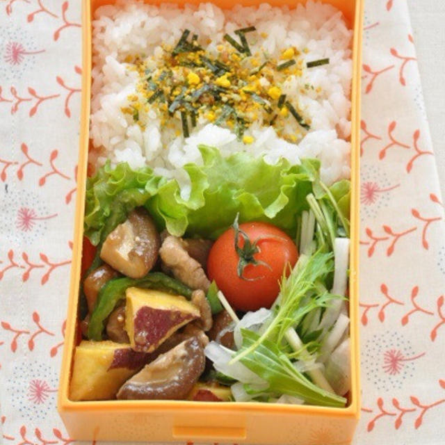 おすすめ1週間お弁当カタログ