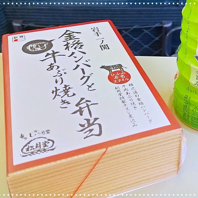 伊東温泉冬の花火大会♪踊り子号で駅弁「金格ハンバーグと牛あぶり焼き弁当」
