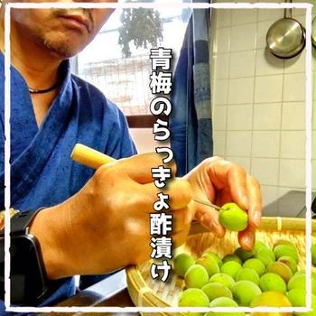 梅仕事PART2