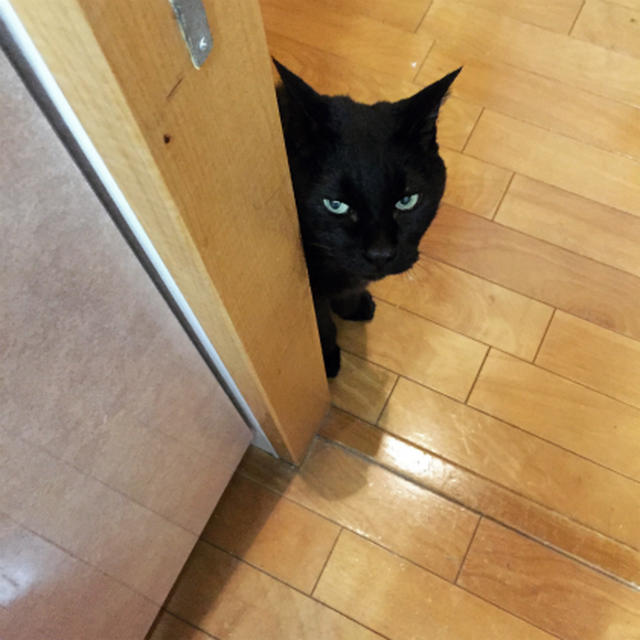 最近のできごと
