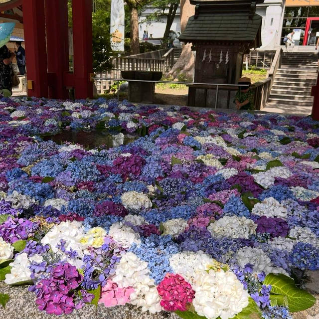 誕生日おめでとう！ワタシ。。産んでくれた母に感謝を込めて温泉旅行！