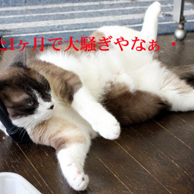ついに禁酒１ヶ月を達成ぇ～!!