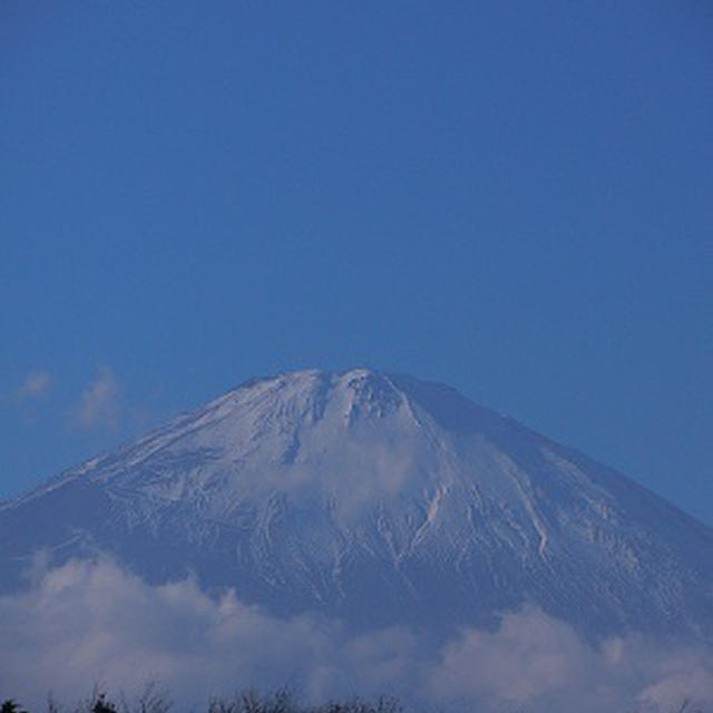 あけましておめでとうございます♪