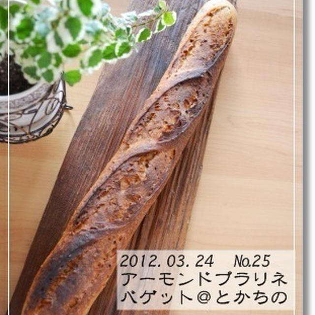 第二十五章　プラリネバゲット＠とかちの
