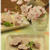 薄焼き桜餅。