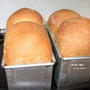 ライ麦に全粒粉。ふんわり、ボリューミーな焼き上がり。『ライ麦と全粒粉の食パン』
