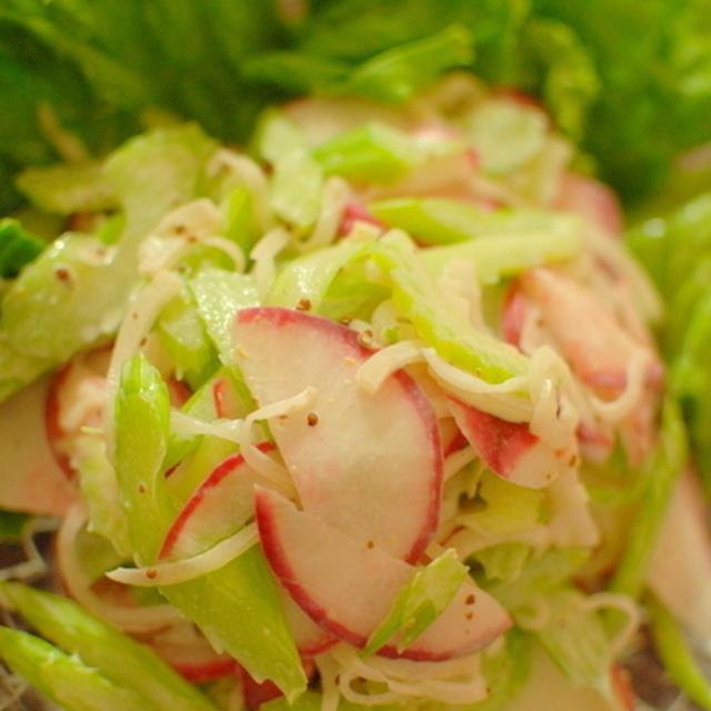 セロリと赤カブのマスタードサラダ　Celery and Red Turnip Salad