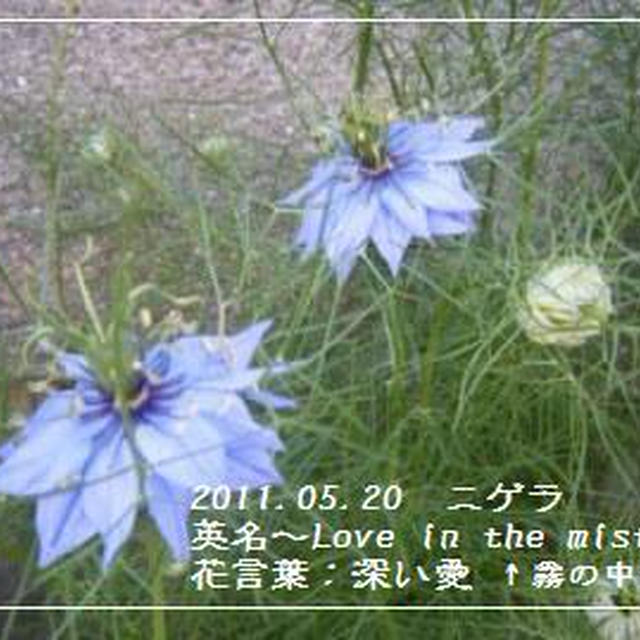 【記録】廃炉と完全メルトダウン。。。
