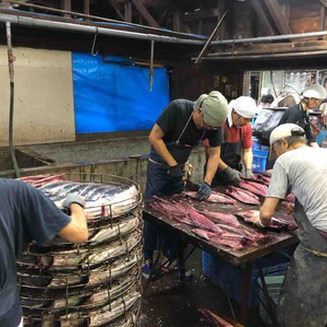 静岡県西伊豆町に鰹節作りを見学に。カネサ鰹節商店さんで次々のさばかれる鰹たち