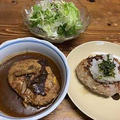 筍入り豆腐ハンバーグ２種と弁当
