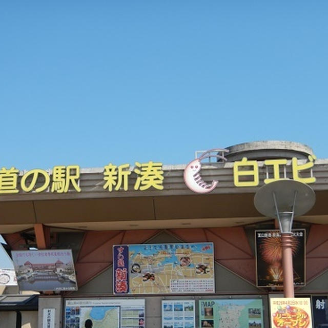 新湊で今が旬の・・・・