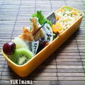 お野菜たっぷり羽根つき餃子～いちばんのお弁当～ by YUKImamaさん