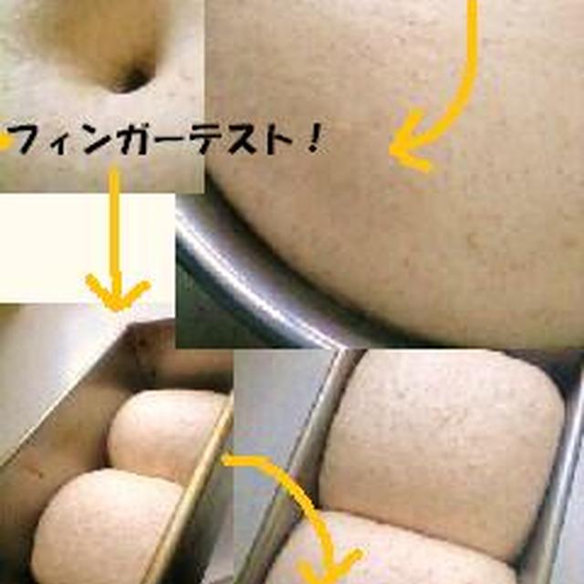 全粒粉入り食パン☆白神こだま酵母