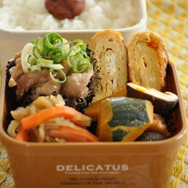 作り置きおかずをみっちみちに詰めこんだお弁当。