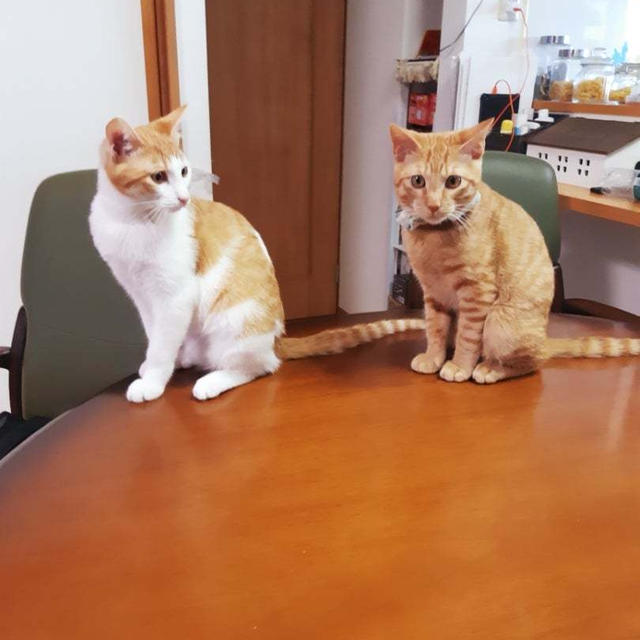 一年振りの帰省中！