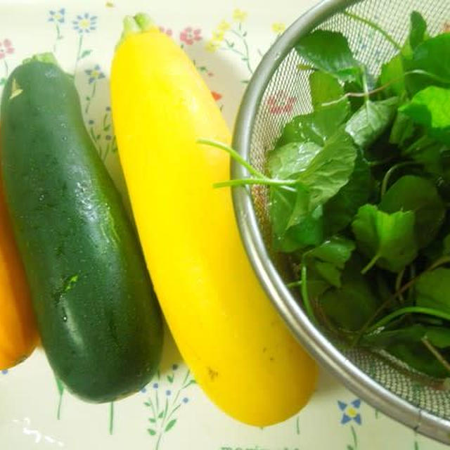 夏野菜のカレー
