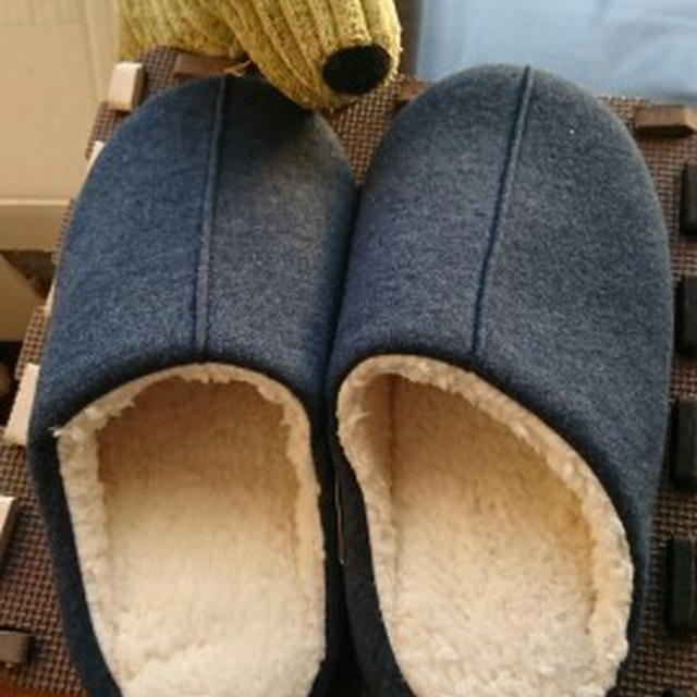 猫も魚と間違えるスポンジ！？＠ニトリ