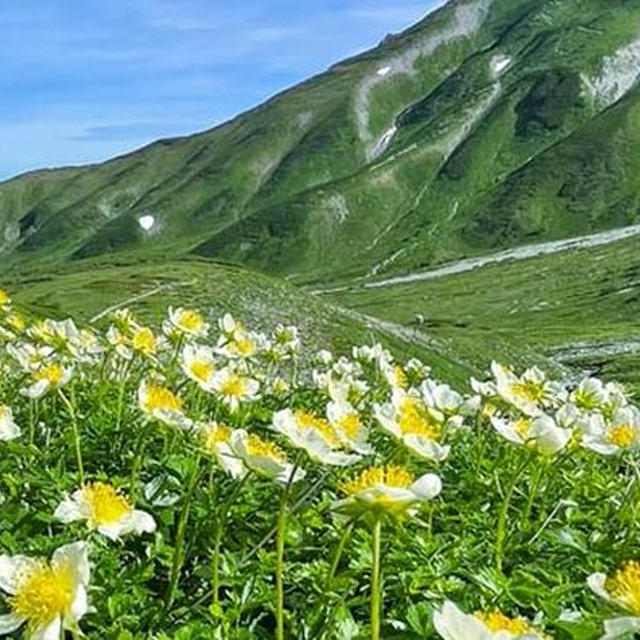 立山と雷鳥沢で避暑 その1