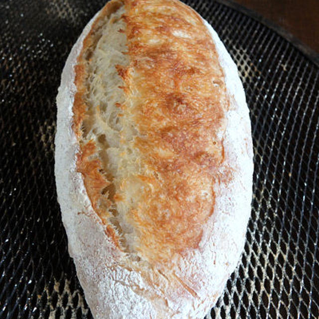 寝そべっていい関係