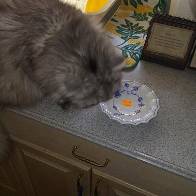 ロイヤルコペンハーゲンのミニ・デザート皿が。。。!(=^・・^=)♪