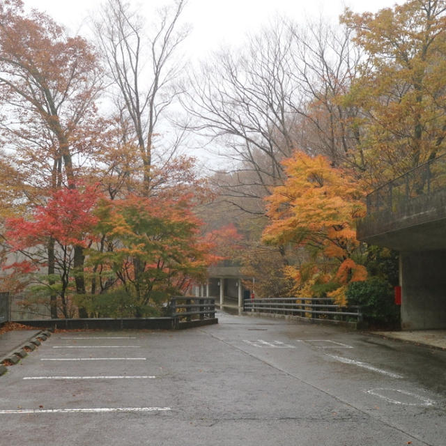 2019箱根旅〜ポーラ美術館♪