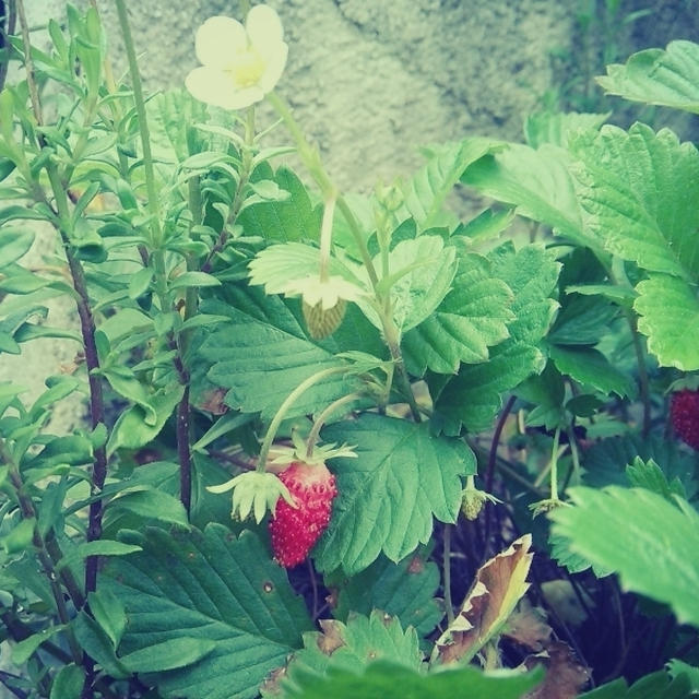優しくしてね(*´˘` )♡(´˘`๑)