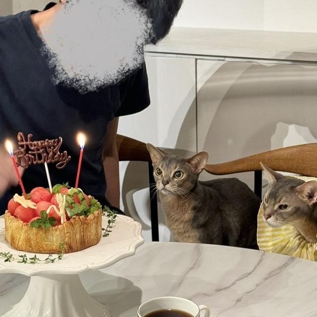 パパとぼくちんと坊とお誕生日ケーキ